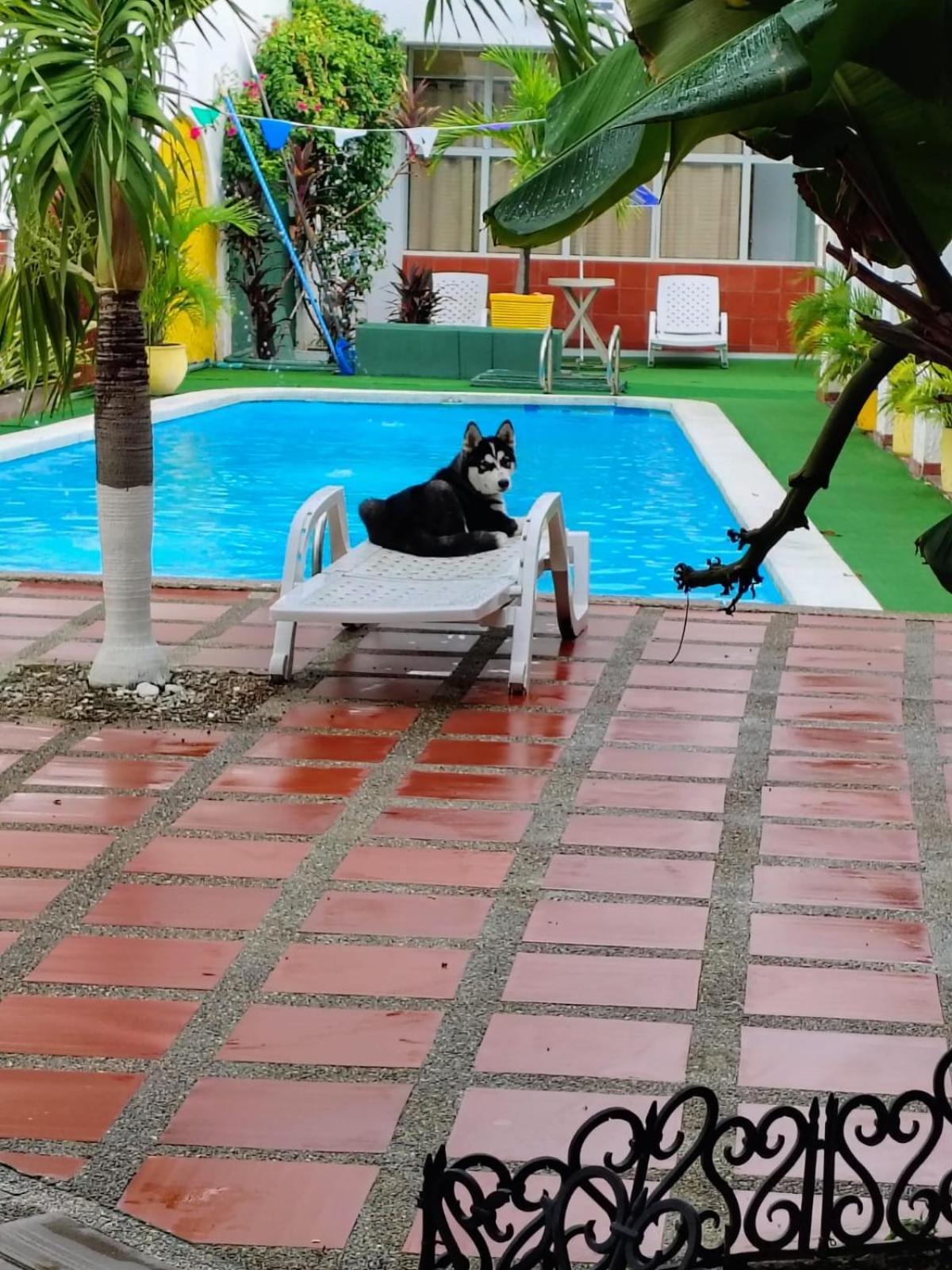 The Chill In Mansion Hostel Santa Marta Екстер'єр фото